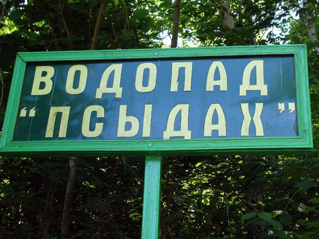 DSC06577