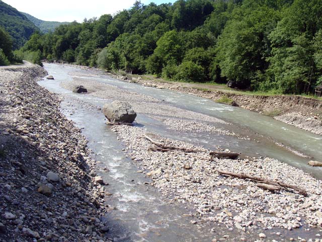 DSC06599